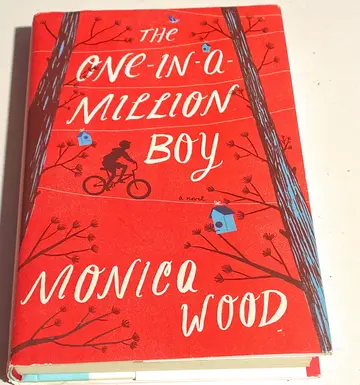 Cover of The One-In-A-Million Boy