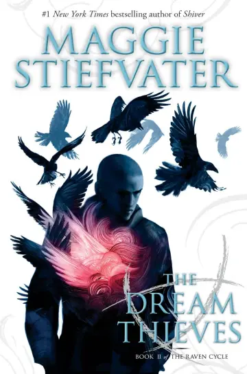 Cover of The Raven Cycle #02