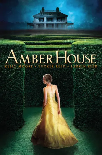 Cover of Amber House