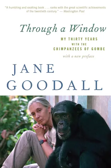 Cover of Through a Window