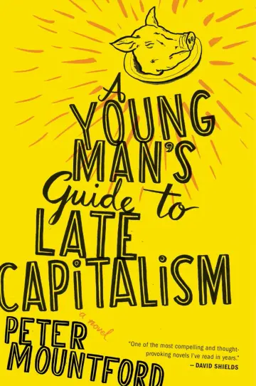 Cover of A Young Man's Guide to Late Capitalism