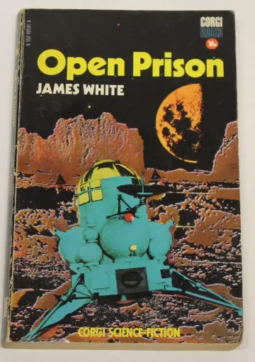 Cover of Open Prison