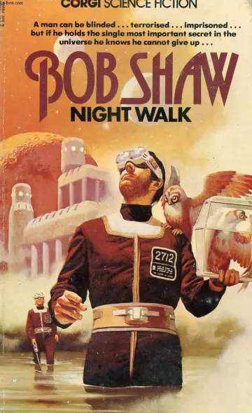 Cover of Night Walk