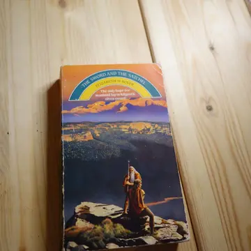 Cover of The Sword and the Satchel