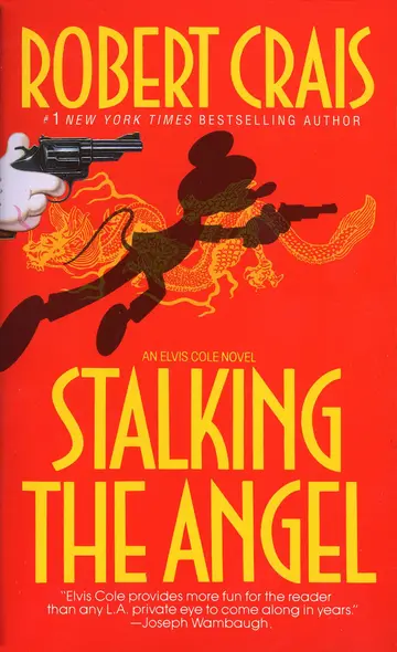 Cover of Stalking the Angel