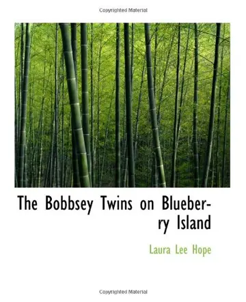 Cover of The Bobbsey Twins on Blueberry Island