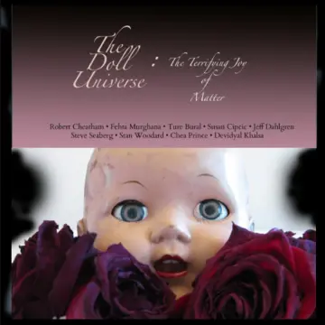 Cover of The Doll Universe