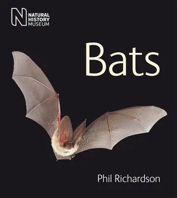 Cover of Bats