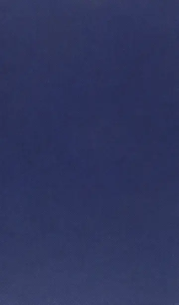 Cover of Aquinas on the Web?