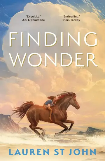 Cover of Finding Wonder