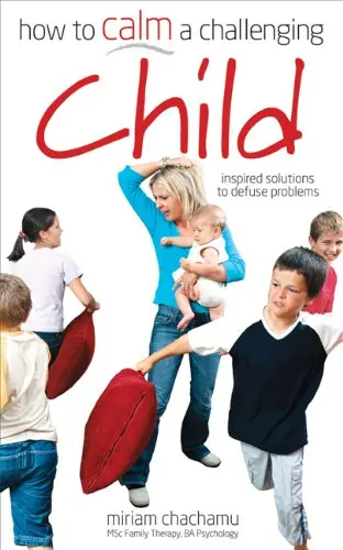 Cover of How to Calm a Challenging Child