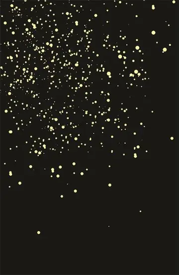 Cover of Schild's Ladder