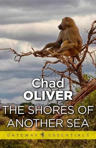 Cover of The Shores of Another Sea
