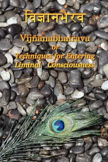 Cover of Vijnaanabhairava or Techniques for Entering Liminal Consciousness