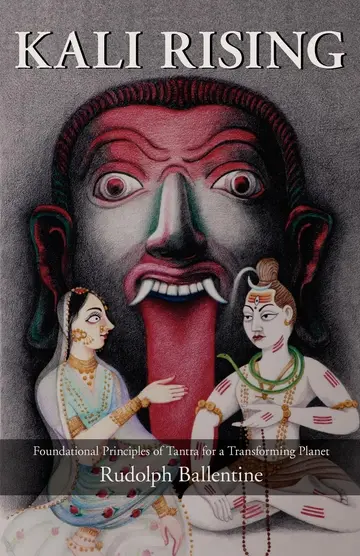 Cover of Kali Rising