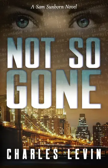 Cover of Not So Gone