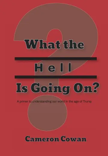Cover of What the Hell is Going On?