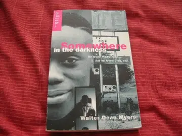 Cover of Somewhere in the Darkness