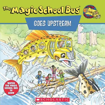 Cover of Msb