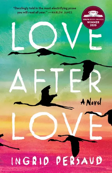 Cover of Love After Love