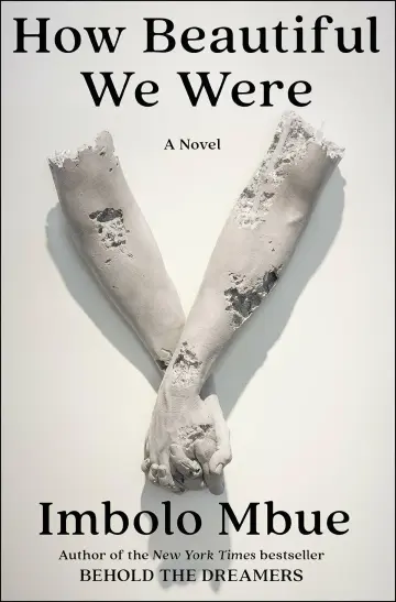 Cover of How Beautiful We Were