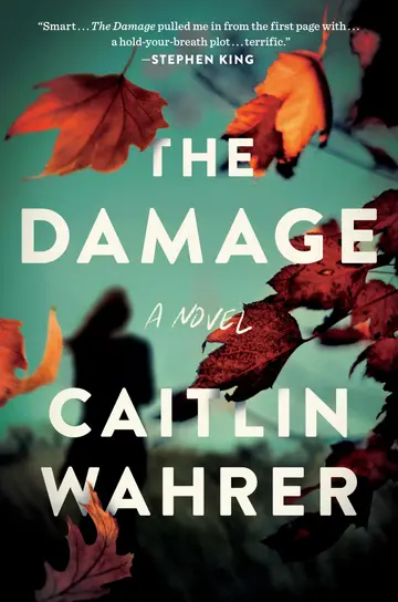 Cover of The Damage
