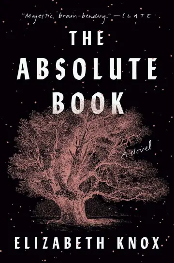 Cover of The Absolute Book