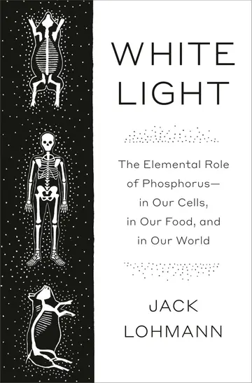 Cover of White Light