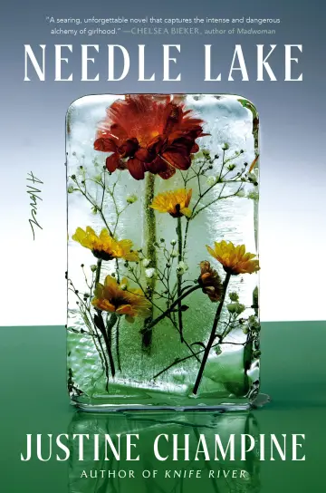 Cover of Needle Lake