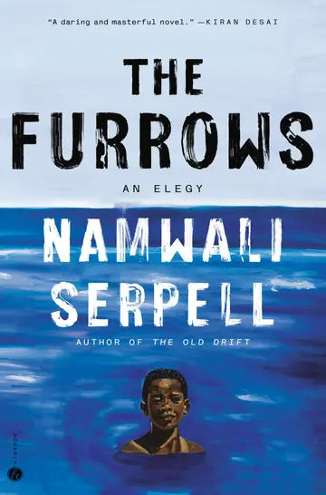 Cover of Furrows