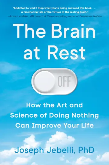 Cover of The Brain at Rest