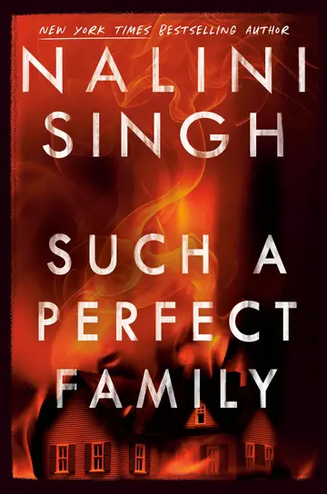 Cover of Such a Perfect Family