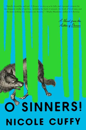 Cover of O Sinners!