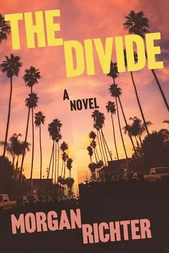 Cover of The Divide