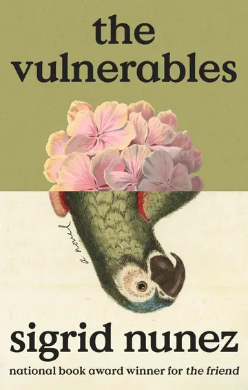 Cover of The Vulnerables