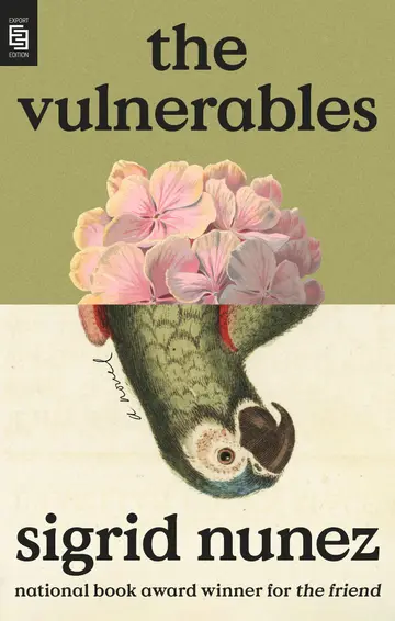 Cover of The Vulnerables