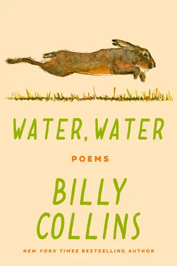 Cover of Water, Water