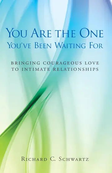 Cover of You Are the One You've Been Waiting for