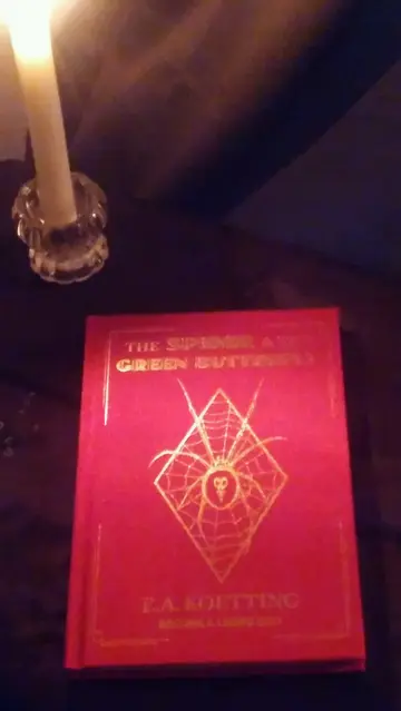 Cover of The Spider and the Green Butterfly