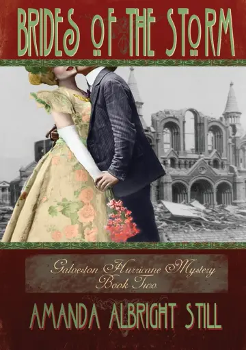 Cover of Brides of the Storm
