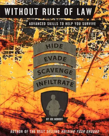 Cover of Without Rule of Law