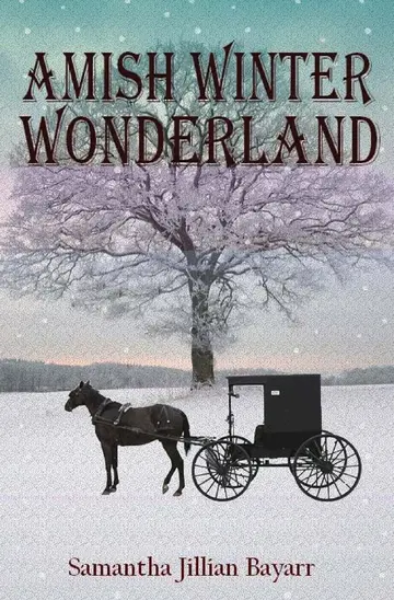Cover of Amish Winter Wonderland