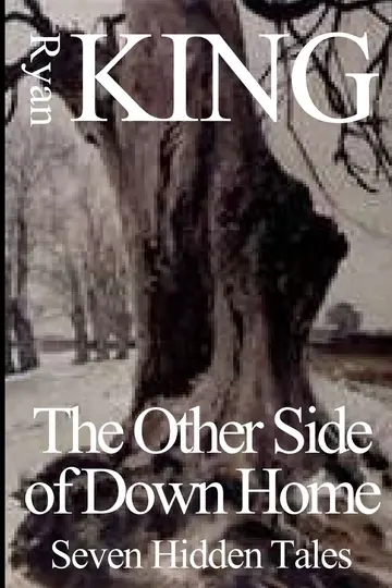 Cover of Other Side of Down Home