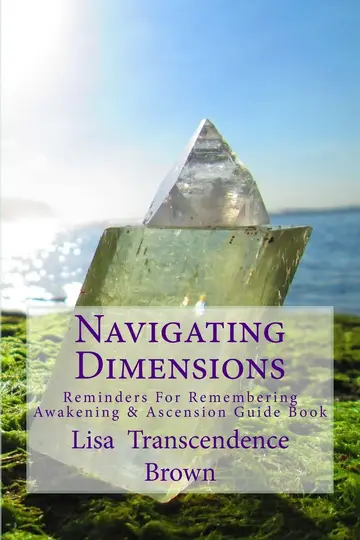 Cover of Navigating Dimensions