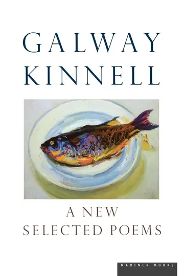 Cover of A New Selected Poems