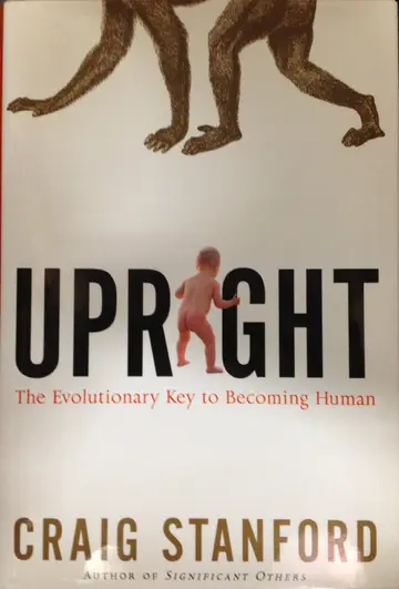 Cover of Upright