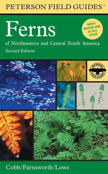 Cover of Peterson Field Guide to Ferns, Second Edition