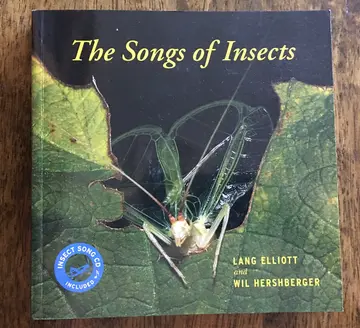 Cover of The Songs of Insects
