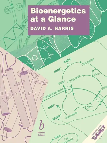 Cover of Bioenergetics at a Glance
