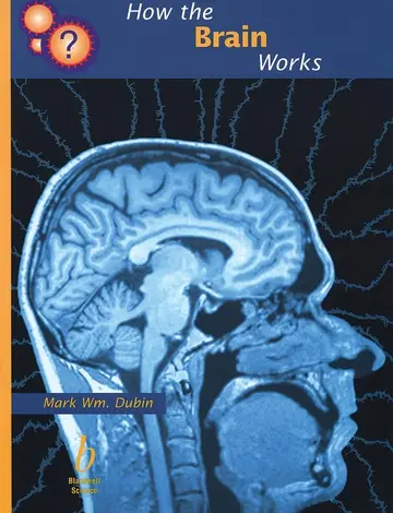 Cover of How the Brain Works
